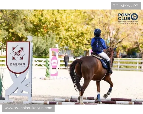 美国马术协会设立“Mustang Challenge”奖学金，支持传统马术研究。，美国马术金牌